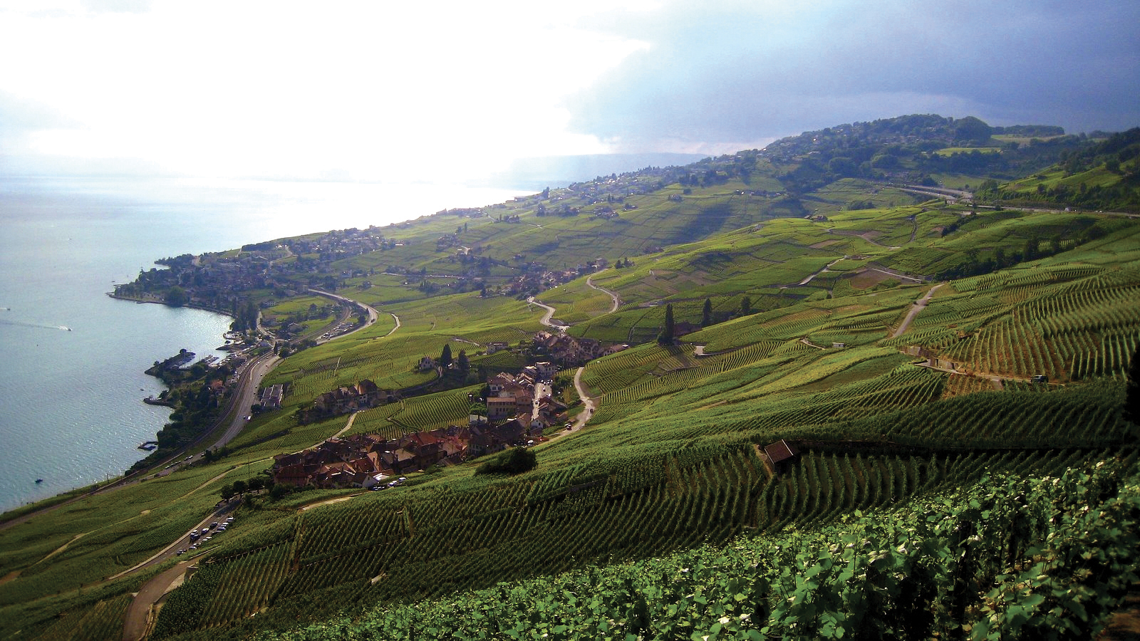 BALADE EN PETIT TRAIN À TRAVERS LES VIGNES DU LAVAUX