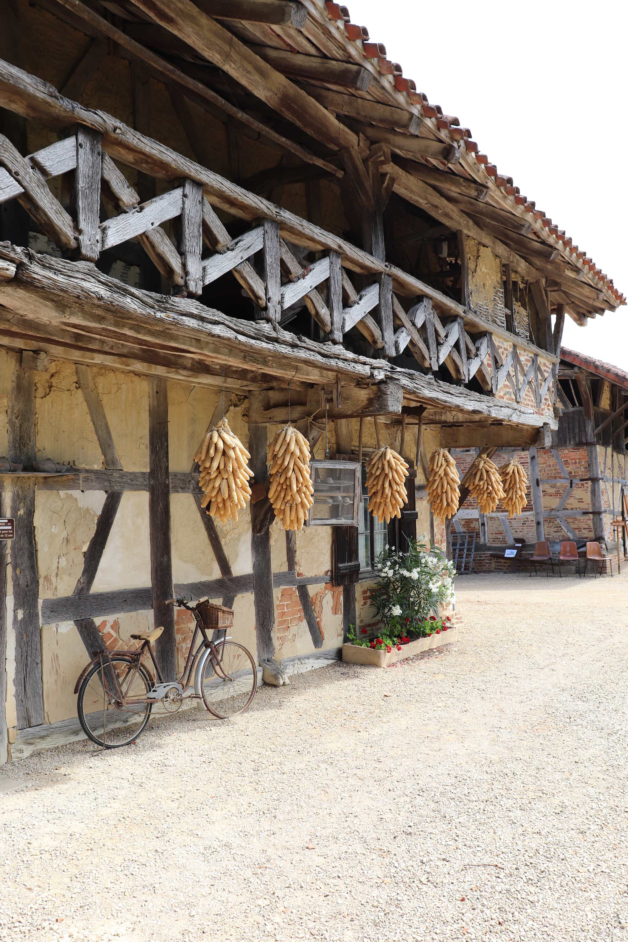 SAVEURS DES DOMBES ET FERME BRESSANE