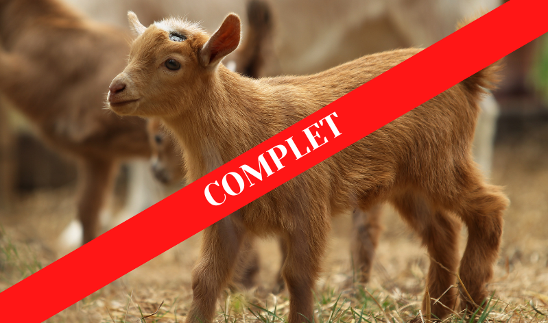 SALON DE L'AGRICULTURE