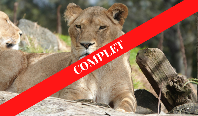 WEEK-END D’ÉVASION AU ZOOPARC DE BEAUVAL