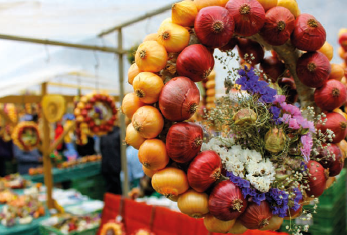 BERNE EN FÊTE POUR LA FOIRE AUX OIGNONS