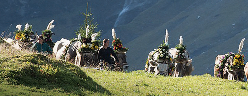 FÊTE DE LA TRANSHUMANCE AU TYROL