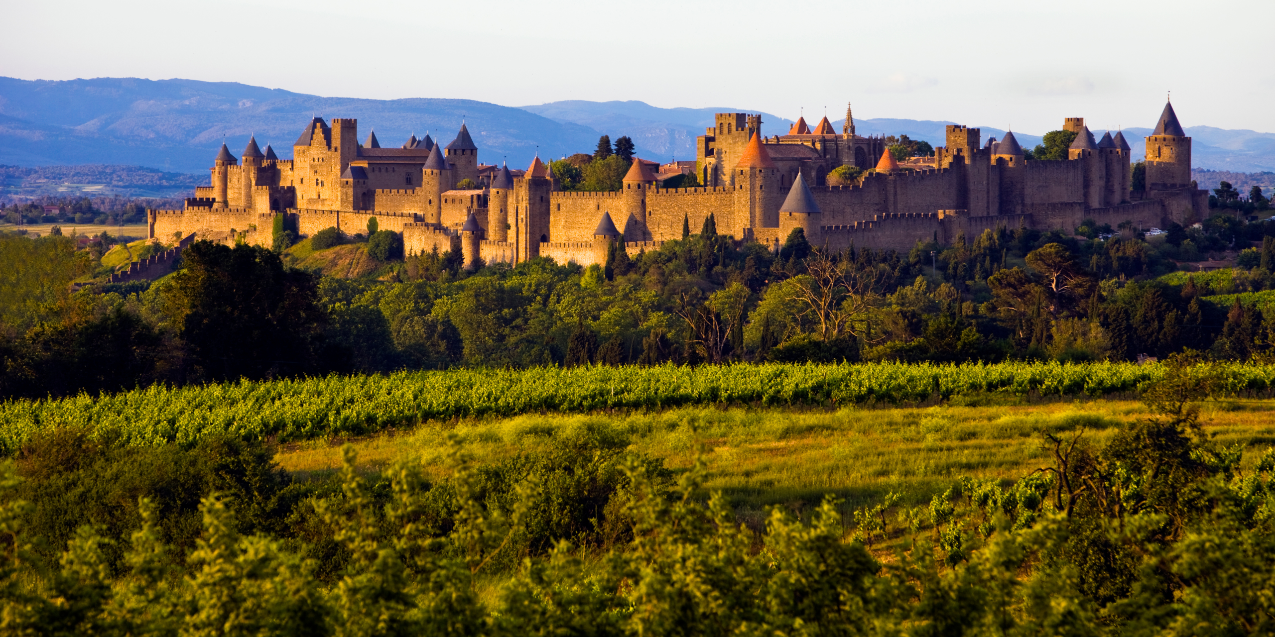 CARCASSONNE ET LE CANAL DU MIDI